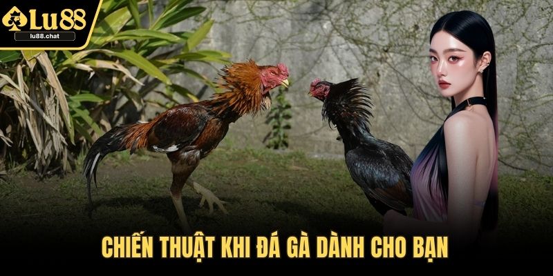 Đá Gà Cựa Sắt – Bí Quyết Đỉnh Cao Cho Mọi Cao Thủ Chiến thuật khi đá gà dành cho bạn