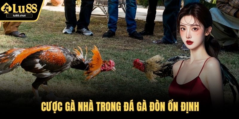 Đá Gà Đòn – Sân Chơi Kịch Tính Với Đòn Thế Hiểm Hóc Cược gà Nhà trong đá gà đòn ổn định