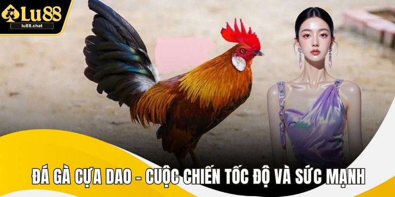 Đá Gà Cựa Dao – Cuộc Chiến Tốc Độ Và Sức Mạnh Mãn Nhãn Đá Gà Cựa Dao – Cuộc Chiến Tốc Độ Và Sức Mạnh Mãn Nhãn