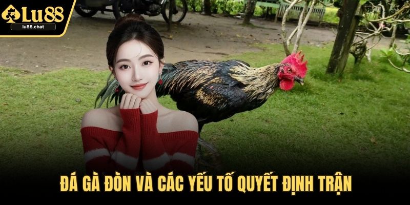 Đá Gà Đòn – Sân Chơi Kịch Tính Với Đòn Thế Hiểm Hóc Đá gà đòn và các yếu tố quyết định trận